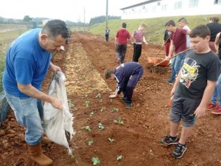 Estudantes auxiliam na implantação de horta na escola Antonio Parreiras de Tio Hugo