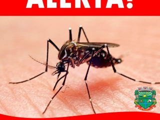 Alerta: Todos contra o Aedes Aegypti