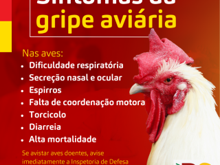 Rio Grande do Sul em estado de emergência zoossanitária contra a Gripe Aviária